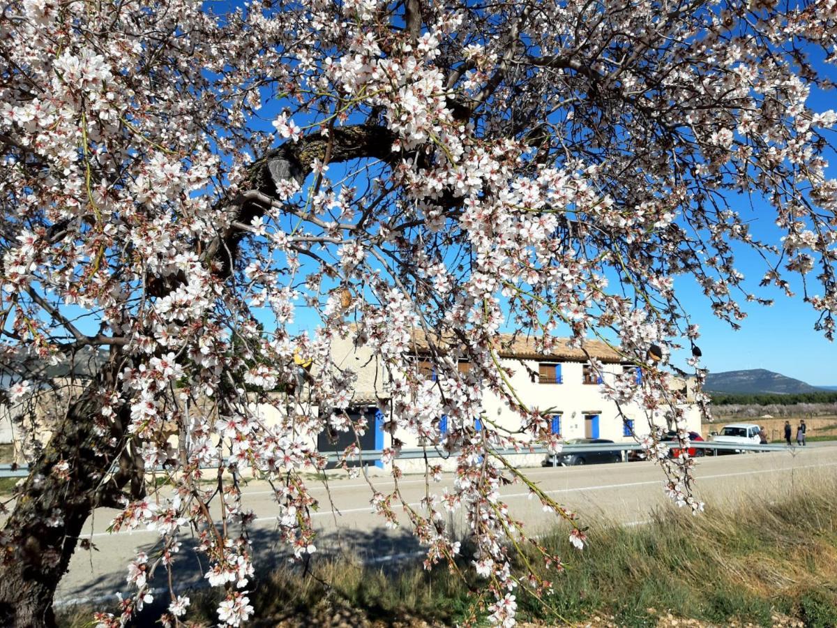 Casas Rurales Tio Segundo Carcelén Εξωτερικό φωτογραφία