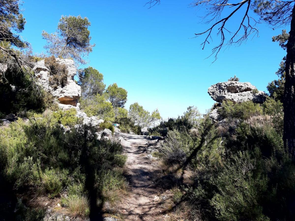 Casas Rurales Tio Segundo Carcelén Εξωτερικό φωτογραφία