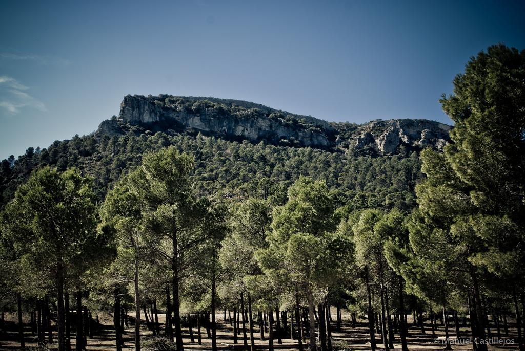 Casas Rurales Tio Segundo Carcelén Εξωτερικό φωτογραφία